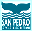 San Pedro plumber